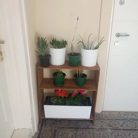 Apartamento Artcenterapartment