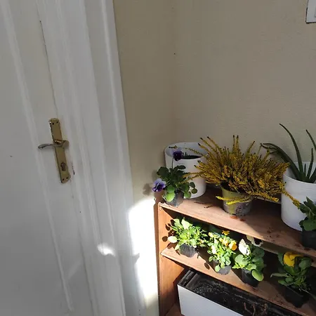 Apartamento Artcenterapartment *