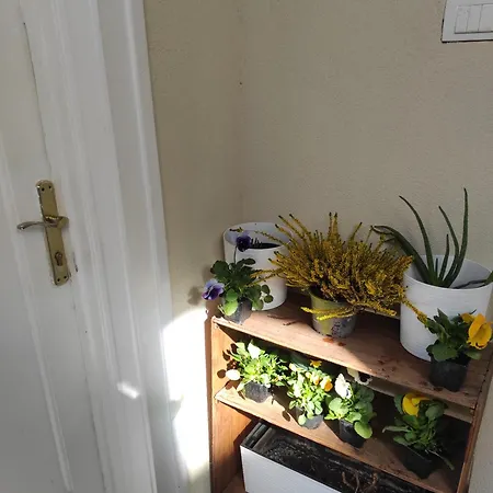 Artcenterapartment Нови-Сад